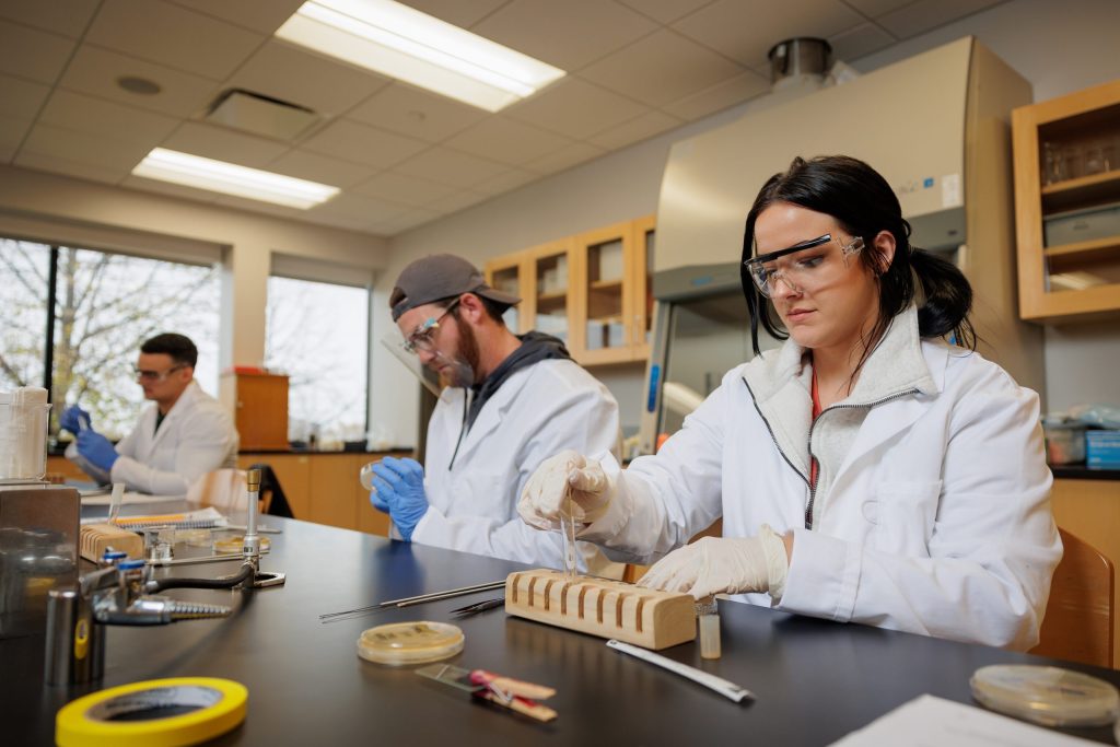 students utilize laboratory equipment during a science class.